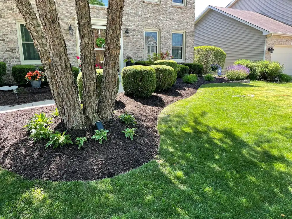 Professional landscaping with mulch and trimmed shrubs in Omaha metro
